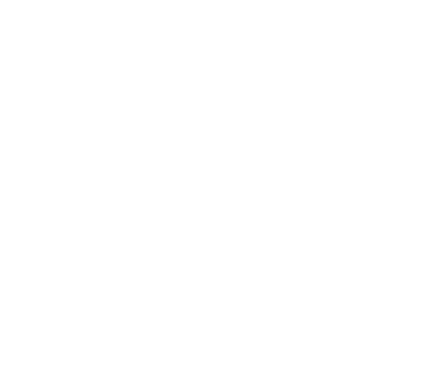 ZRE Logo