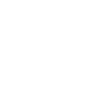 Recreational Paddles Icon
