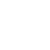 Stand Up Paddles Icon