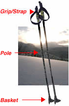 Parts Of Skiing Pole